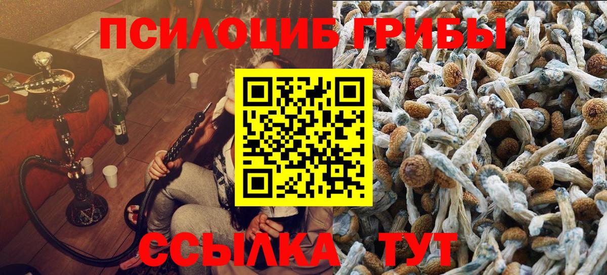 Псилоцибиновые грибы ЛСД  Вход с VPN  Муром 